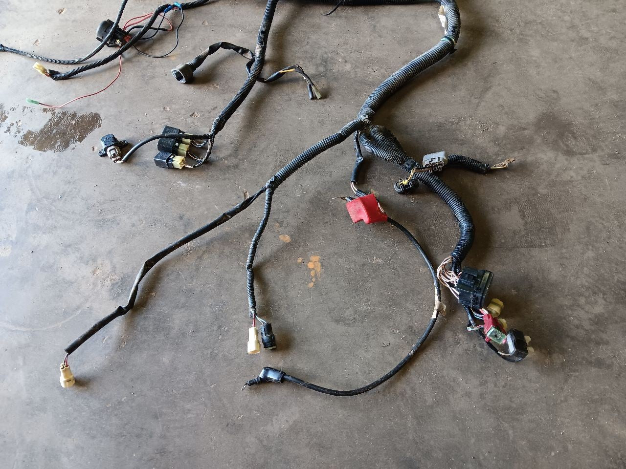 Image #6